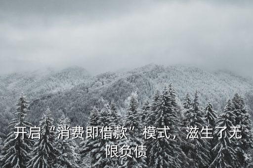 开启“消费即借款”模式,滋生了无限负债