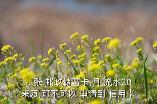 ...张 邮政储蓄卡,月 流水20来万,可不可以 申请到 信用卡