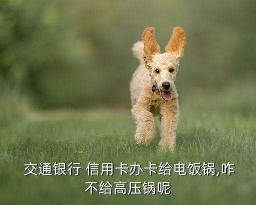  交通银行 信用卡办卡给电饭锅,咋不给高压锅呢