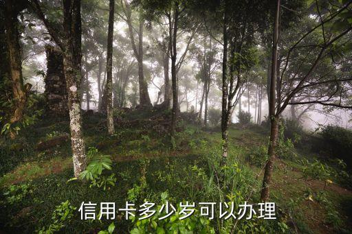  信用卡多少岁可以办理