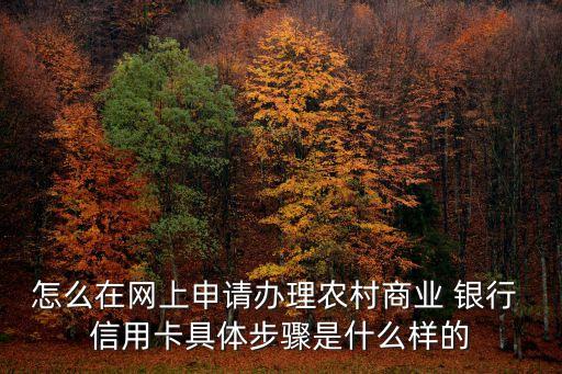 怎么在网上申请办理农村商业 银行 信用卡具体步骤是什么样的