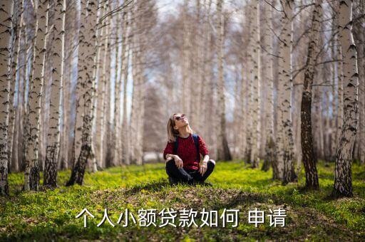 个人小额贷款如何 申请