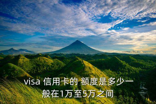  visa 信用卡的 额度是多少一般在1万至5万之间