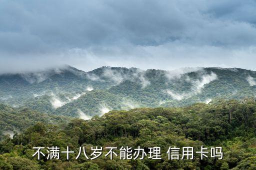 不满十八岁不能办理 信用卡吗