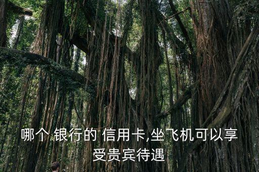 哪个 银行的 信用卡,坐飞机可以享受贵宾待遇