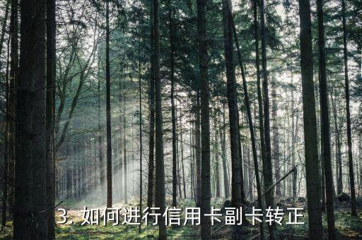 信用卡副卡转正，信用卡副卡升级为正卡