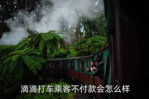  滴滴打车乘客不付款会怎么样
