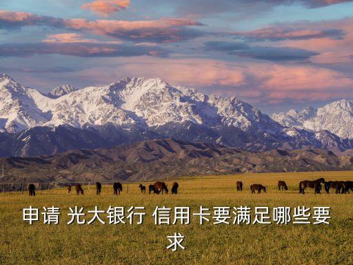 申请 光大银行 信用卡要满足哪些要求