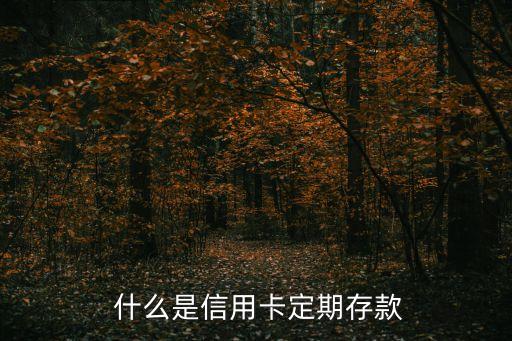 什么是信用卡定期存款