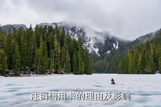 注销信用卡的理由及影响
