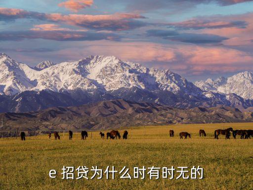 e 招贷为什么时有时无的