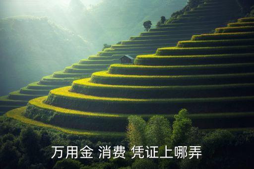 万用金 消费 凭证上哪弄
