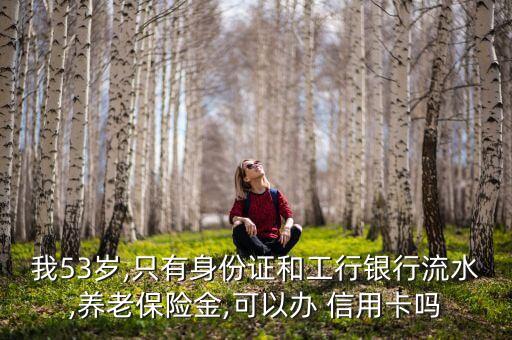 53岁易申请的信用卡,什么平台申请信用卡易通过