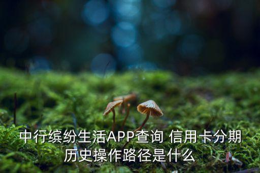 中行缤纷生活APP查询 信用卡分期历史操作路径是什么