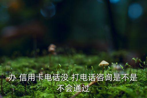 办 信用卡电话没 打电话咨询是不是不会通过