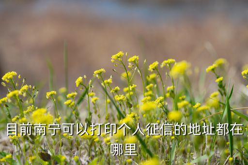 目前南宁可以打印个人征信的地址都在哪里
