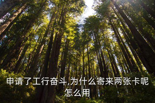 工商银行信用卡双卡怎么用