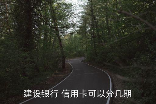 建设银行 信用卡可以分几期