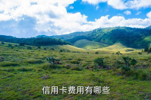 银行信用卡多少钱一张卡,一个银行信用卡可以办多少张卡