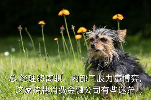 总 经理将离职、内部三股力量博弈,这家持牌消费金融公司有些迷茫