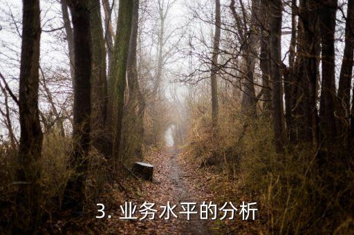 信用卡运营能力分析，分析信用卡运营能力：探讨运营策略和业务水平