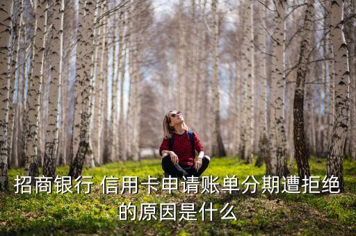 招商银行 信用卡申请账单分期遭拒绝的原因是什么