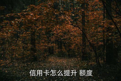  信用卡怎么提升 额度