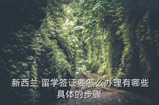 新西兰申请留学信用卡额度,留学信用卡额度多少比较好