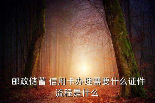  邮政储蓄 信用卡办理需要什么证件流程是什么