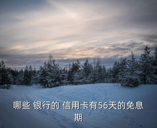 哪些 银行的 信用卡有56天的免息期
