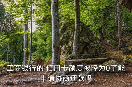工商银行的 信用卡额度被降为0了能申请协商还款吗
