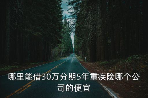 哪里能借30万分期5年重疾险哪个公司的便宜
