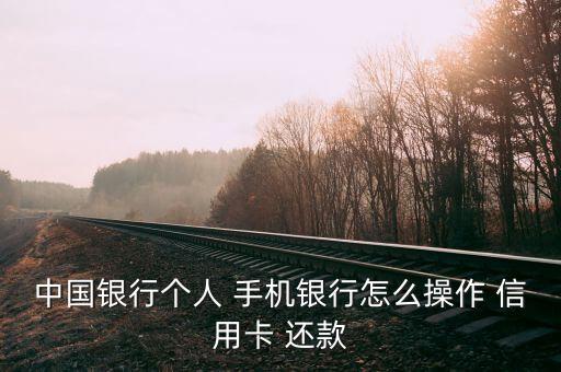 如何手机信用卡还款方式,信用卡最不建议的还款方式