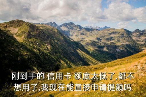 刚到手的 信用卡 额度太低了,都不想用了,我现在能直接申请提额吗
