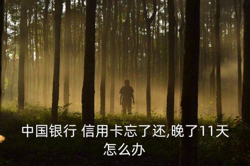 中国银行 信用卡忘了还,晚了11天怎么办
