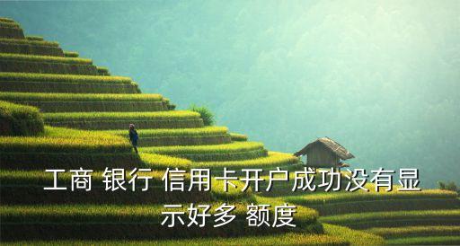  工商 银行 信用卡开户成功没有显示好多 额度