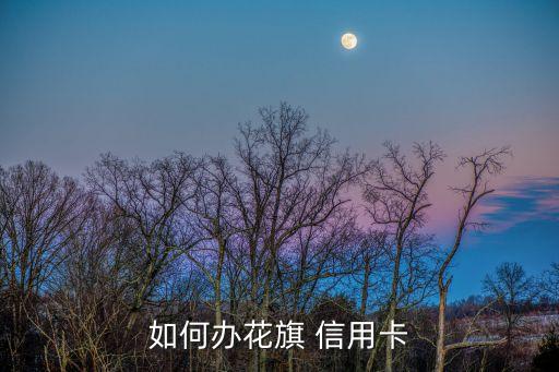 花旗银行信用卡办什么,网上办花旗银行信用卡是真的吗