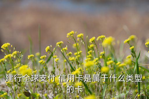 建行全球支付 信用卡是属于什么类型的卡