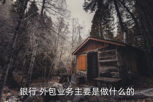 银行 外包业务主要是做什么的
