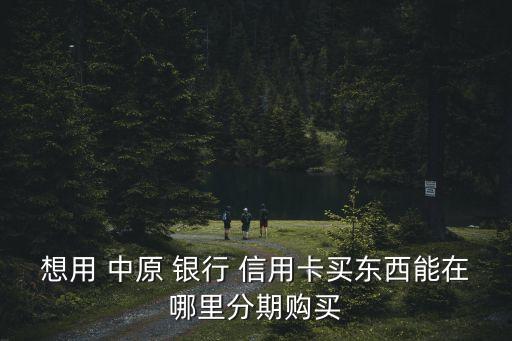 想用 中原 银行 信用卡买东西能在哪里分期购买