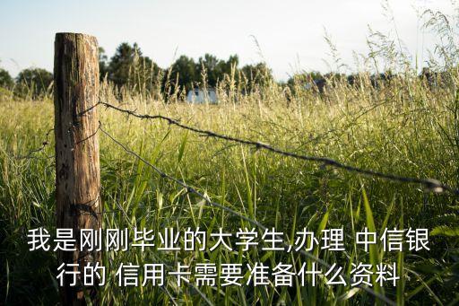 我是刚刚毕业的大学生,办理 中信银行的 信用卡需要准备什么资料