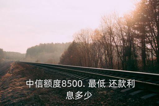 中信信用卡最低还款截图