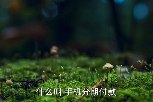 什么叫 手机分期付款