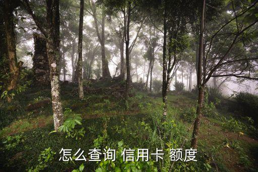 怎么查询 信用卡 额度