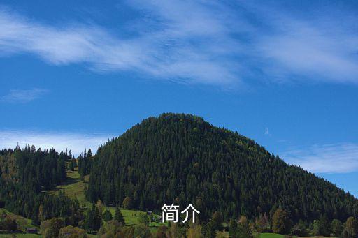 简介