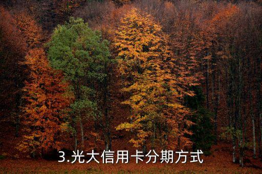 光大信用卡怎么查分期，光大信用卡分期查询方法介绍