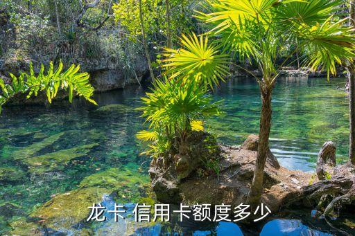  龙卡 信用卡额度多少