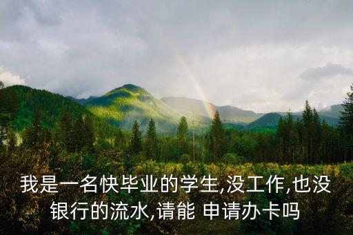 我是一名快毕业的学生,没工作,也没银行的流水,请能 申请办卡吗