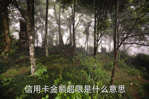 22年信用卡交易额度高,信用卡额度不够交易失败有什么后果