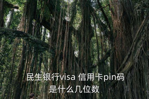  民生银行visa 信用卡pin码是什么几位数